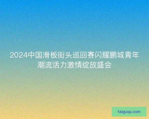 2024中国滑板街头巡回赛闪耀鹏城青年潮流活力激情绽放盛会