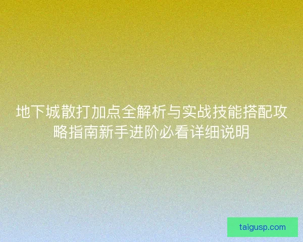 地下城散打加点全解析与实战技能搭配攻略指南新手进阶必看详细说明